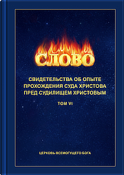 Свидетельства об опыте прохождения суда Христова пред судилищем Христовым (TOM VI)