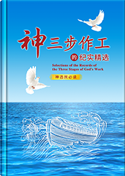 神三步作工的纪实精选