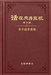 关于追求真理
