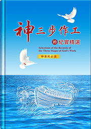 神三步作工的紀實精選